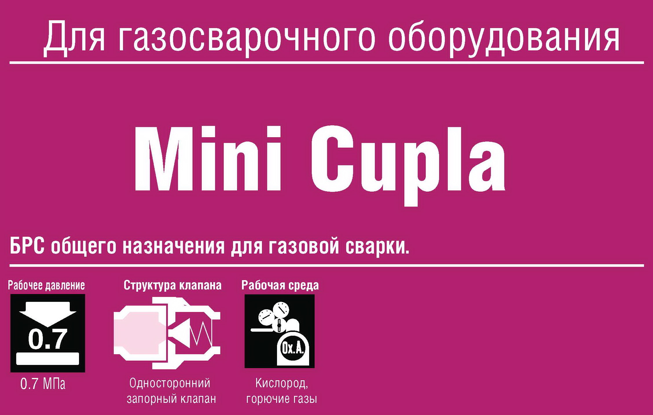 Швидкорозємне зєднанняинения Mini CUPLA ШРЗ для газо зварочного обладнання