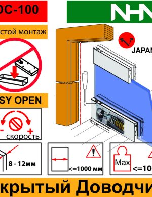 Петля с доводчиком и осью для маятниковых стеклянных дверей NHN-PDC100 (Japan)