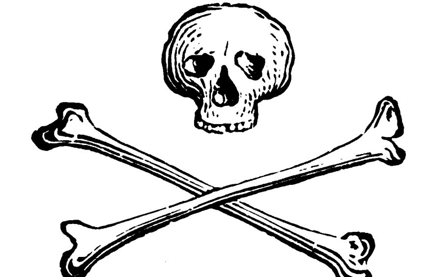 Череп и кости skull and bones