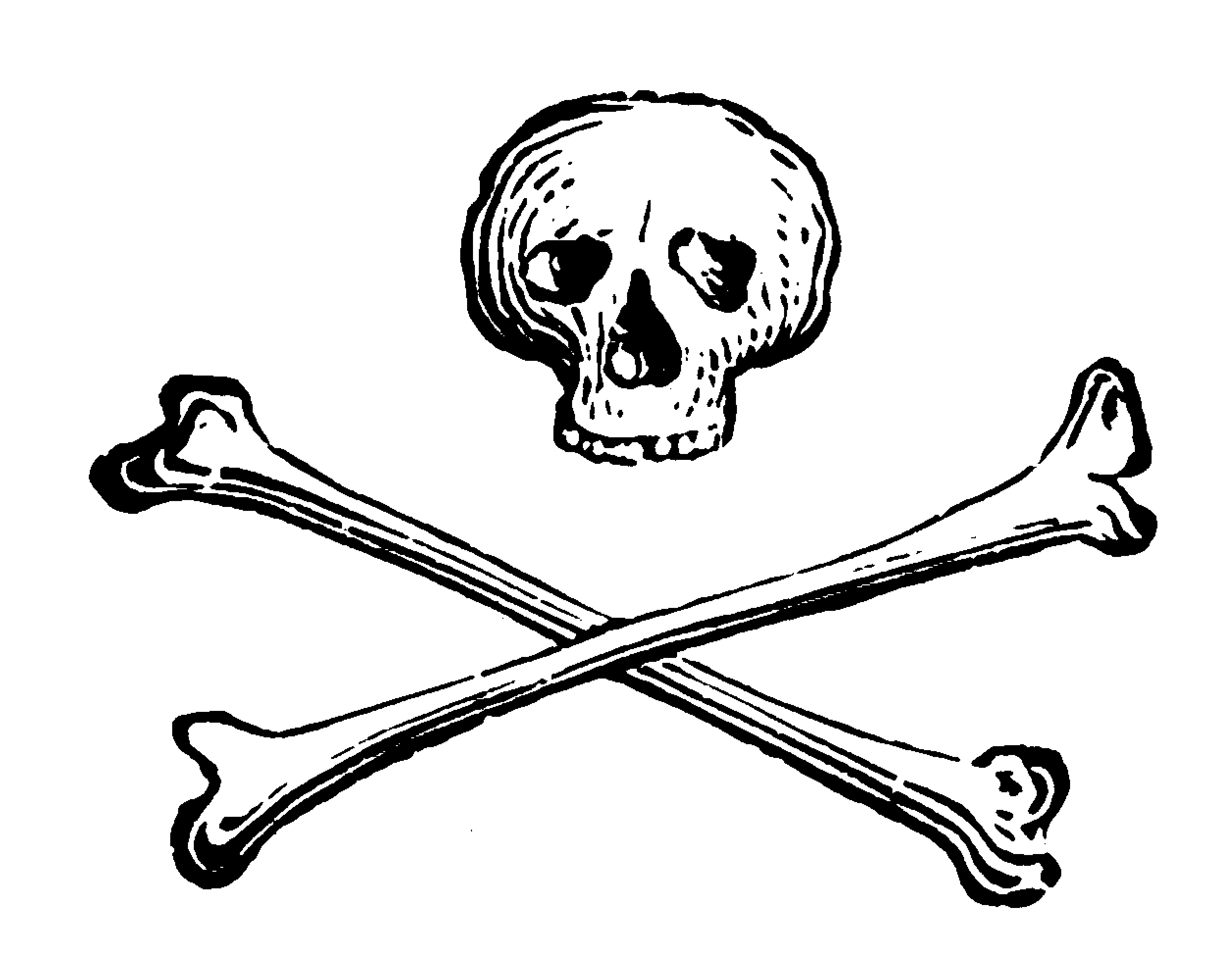 Череп и кости skull and bones